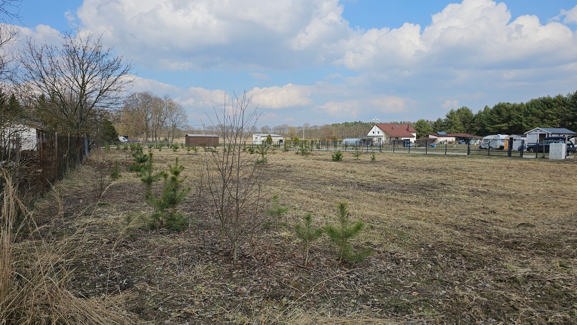 Zdjęcie ogłoszenia