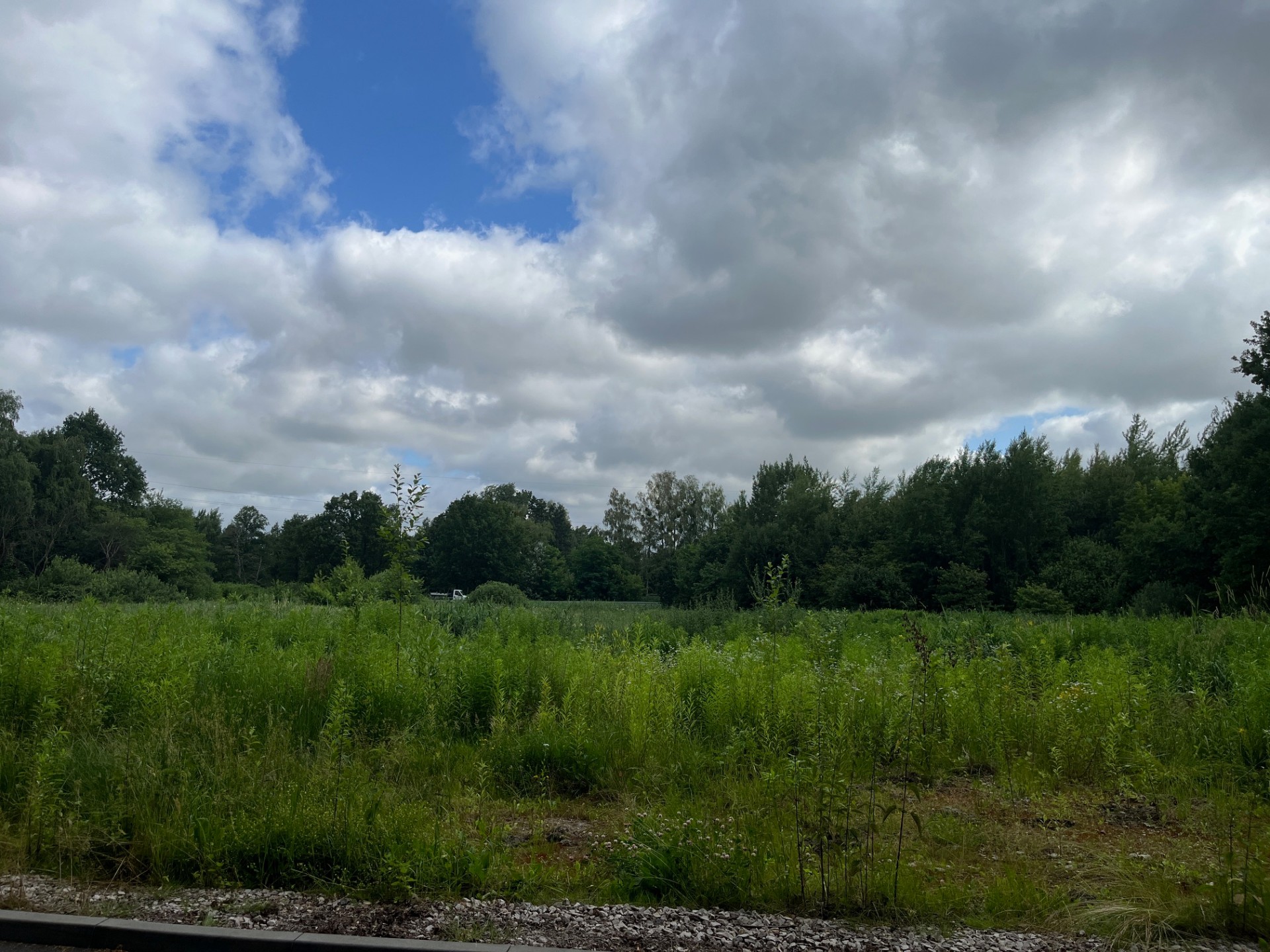 Zdjęcie ogłoszenia