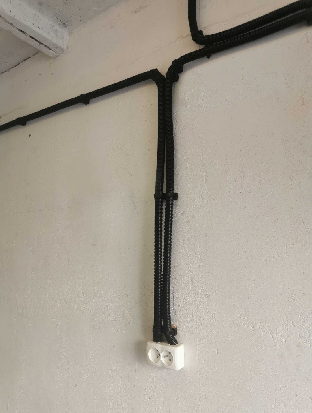 Zdjęcie ogłoszenia